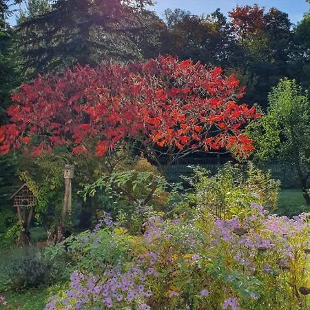 Gasthof Alte Leimsiederei 4*