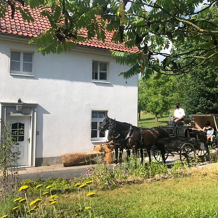 Alte Leimsiederei Pensionat 4*