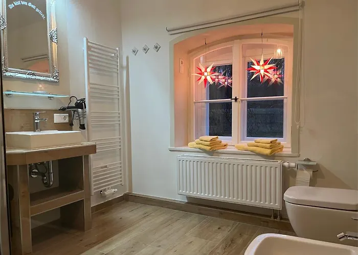 Alte Leimsiederei Guest house 4*