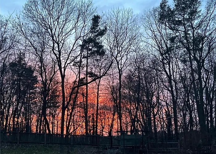 Guest house Alte Leimsiederei