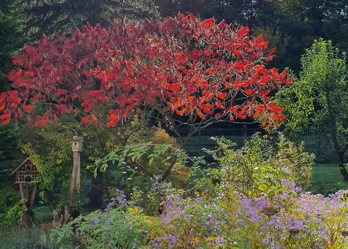 Guest house Alte Leimsiederei 4*