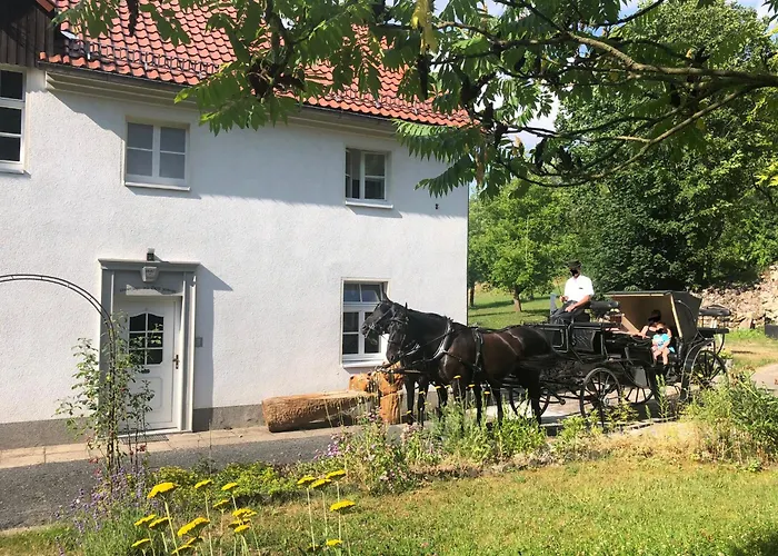 Alte Leimsiederei Guest house 4*